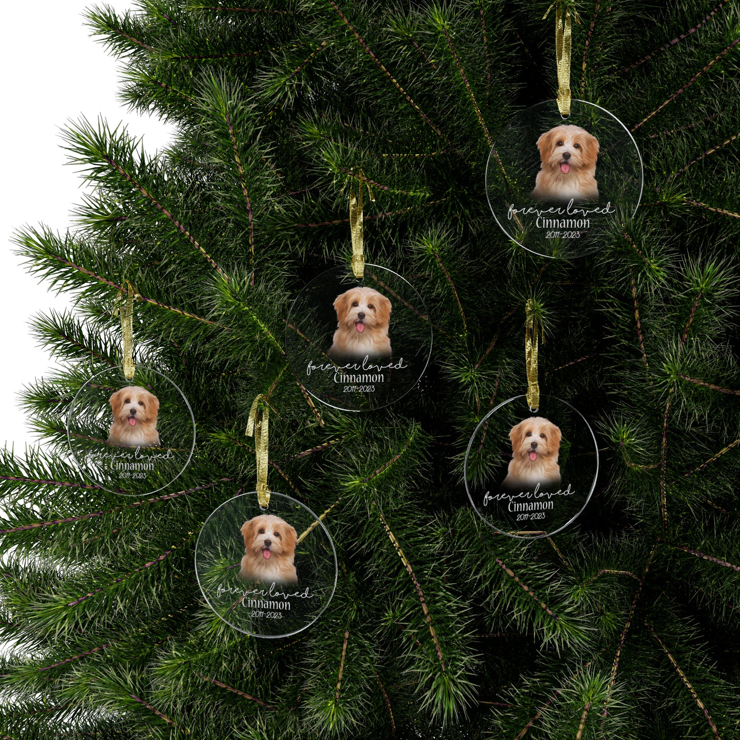 Customizable Christmas Pet Acrylic Ornaments