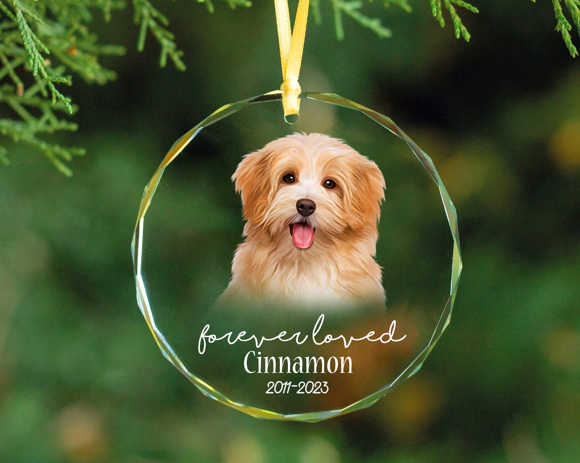 Customizable Christmas Pet Acrylic Ornaments